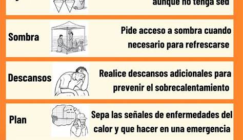 INFOGRAFÍA: Golpe de calor, ¿qué es y cómo evitarlo? - Pulso Diario de