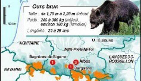 Répartition de l'ours - Les éleveurs face aux prédateurs