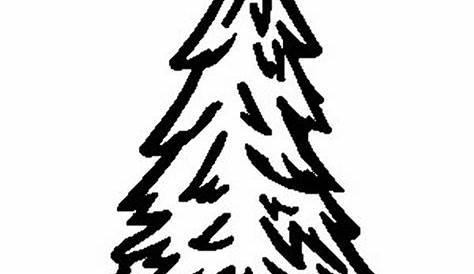 Clip Art Tree Silhouette Cedar Pine - Pine Tree Outline Transparent