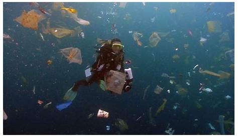 Plastic pollution found at a depth of 36,000ft in the Pacific Ocean
