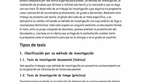 (PDF) TESIS EJEMPLO | Loredana Galeazzi - Academia.edu