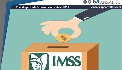 ¿Qué es el reporte personalizado de cotización del IMSS?