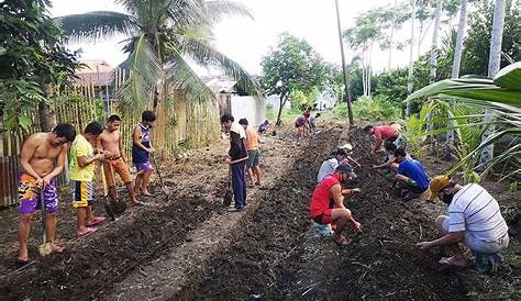 San Miguel: Pagtatanim ng gulay & halaman, aktibidad ng mga sumurender