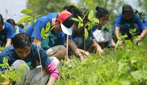 Topic page on tree-planting | ABS-CBN News