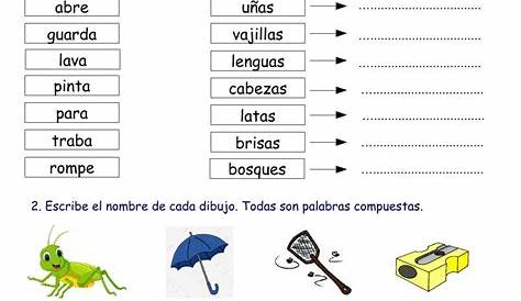 Trabajamos las palabras compuestas en primaria (4)