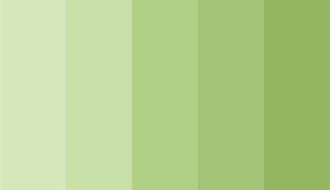 Green Tea Mix Color Palette | Green palette, Color palette, Color mixing