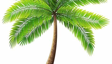 Palm Trees Clipart - Png Download - Full Size Clipart (#5235386