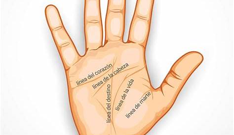 La quirología: Tus manos revelan aspectos de tu personalidad | HuffPost