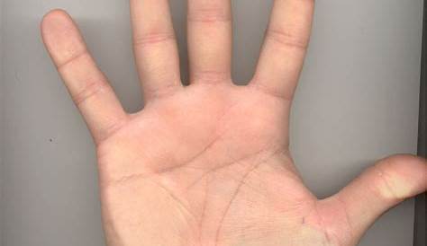 ¿Cómo leer la palma de la mano?, una guía básica para hacerlo - El