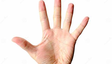 TAGUT: Lectura de las palmas de las manos
