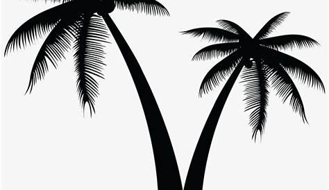 Black Palm Tree Clip Art - Palmera Blanco Y Negro Png PNG Image