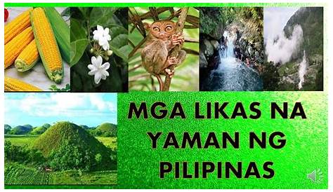 Ano Ang Mga Likas Na Yaman Ng Bansang Pilipinas - bansatado