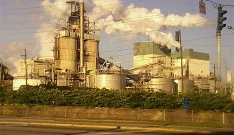 52M awarded to Bogalusa paper mill for modernization plan WGNO