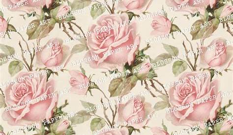 Free digital pink rose scrapbooking papers - faux vintage