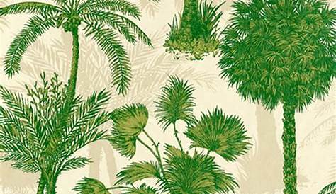 Papier Peint Palmier Vert Intissé s De La Collection Lucy