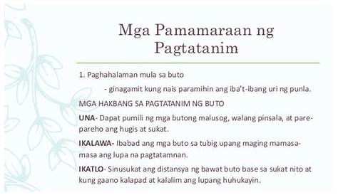 PINAKAMABILIS na Paraan ng Pagpaparami ng GUMAMELA. - YouTube