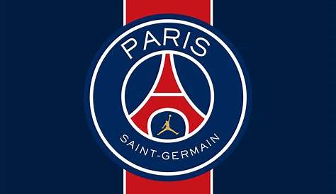 2008-09 PARIS SAINT-GERMAIN SHIRT L Football / Soccer \ European Clubs