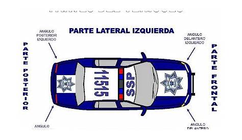 Esquema Del Plano Del Coche Policial Vistas Frontal, Lateral, Trasera Y