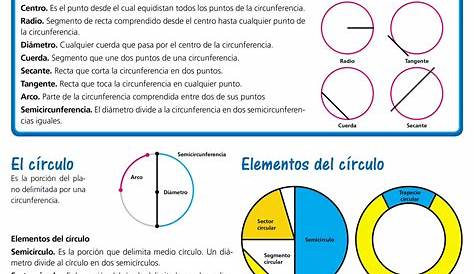 Circunferencia y círculo Ficha interactiva