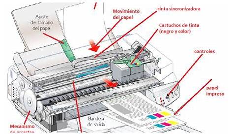 Las Impresoras : PARTES INTERNAS Y EXTERNAS