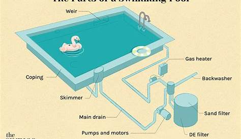 Parts of a Pool: A Guide to a Pool's Anatomy Basics