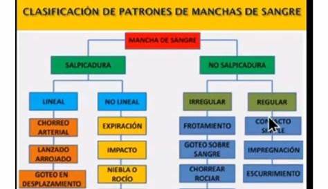 Analisis De Patrones En Manchas De Sangre – Otosection