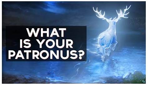 Patronus Wizarding World Quiz Take Pottermore’s New To Find Out If You’re