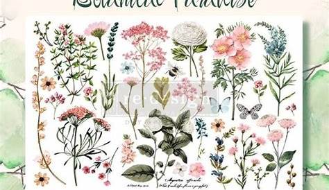 New - Botanical Paradise - Redesign with Prima - Rub on Furniture Smal