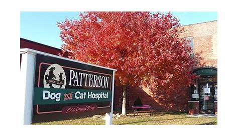 Patterson Dog and Cat Hospital in Detroit is oldest veterinary clinic