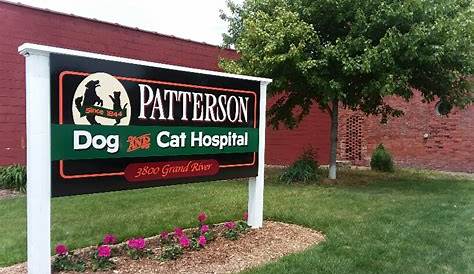 Patterson Dog & Cat Hospital - Veterinarian in Detroit, MI