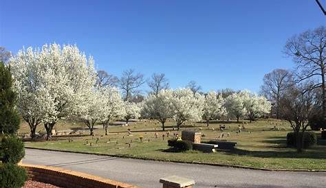 Patterson Cemetery near Bradleyville – Douglas County Herald
