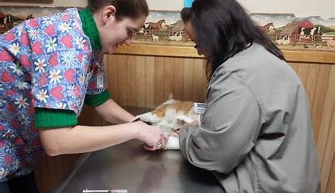 Patterson Veterinary Hospital | Mason, MI |517-676-5422