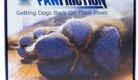 How to Keep your Dog's Paw Pads Healthy - Dog Fetched