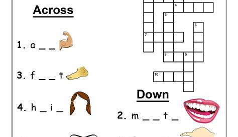 Body Parts Bonus Puzzle - Get Answers for One Clue Crossword Now