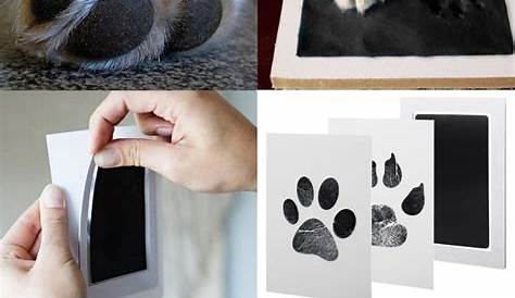 Ink Paw Print – Patch & Purr Pet Cremations