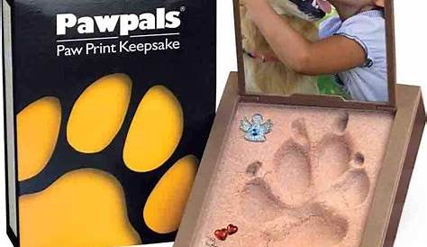 Paw Print Kit in 2020 | Pet paw print, Dog paw print craft, Dog paw print