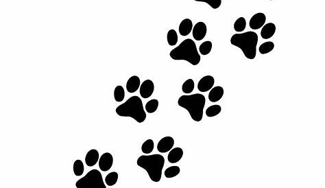 Paw PNG transparent image download, size: 2048x2121px