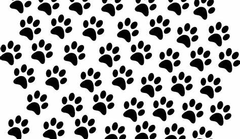 a white background with black and gray dog paw prints on the bottom