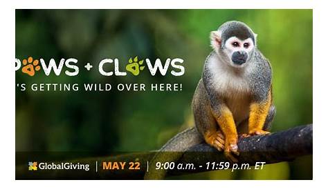 Paws & Claws, Inc. opens new Location