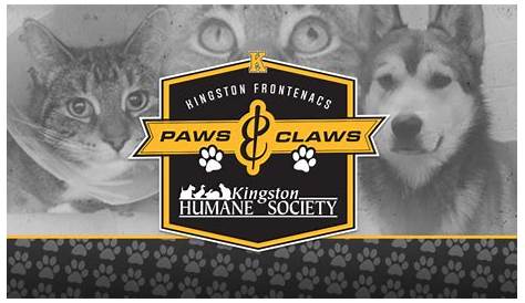 Paws and Claws - Wags & Whiskers Animal Rescue