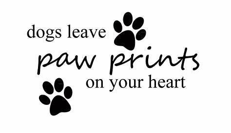 Caring Hearts 4 Paws Offers Rescue Program for Dogs | Nisqually Valley News