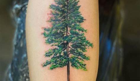 Pecan Tree Tattoo Flickr Photo Sharing!