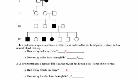 Answer Key Pedigree Worksheet 3 Hemophilia The Royal Disease Answers