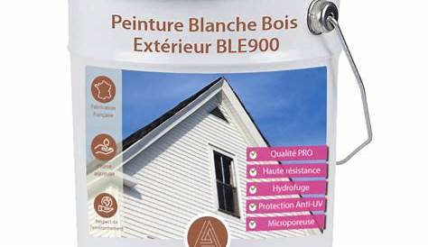 Peinture Blanche Pour Bois Vernis Laque erie Valénite DULUX VALENTINE Blanc