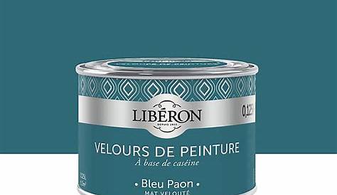 Peinture Bleu Paon Castorama 100 Génial Suggestions Dulux Valentine