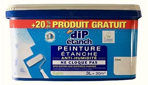 Peinture Dip Antihumidité Murs Intérieurs DIP écorce 0,75L