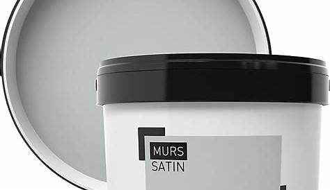 Peinture Gris Clair Mat Hubo Excellence Murale 10l Hubo