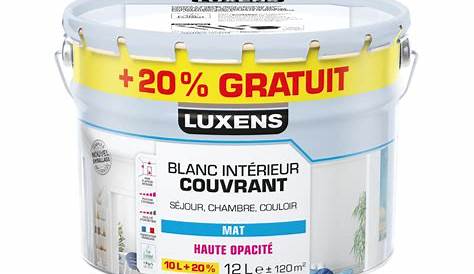 Peinture Luxens Mat Blanc DULUX VALENTINE Serie Speciale 10L