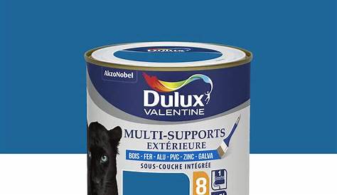 Peinture Multisupport Bricorama MultiSupports Extérieur Satin Dulux Valentine