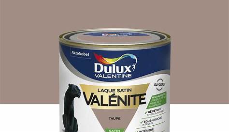 Peinture Murale Taupe Leroy Merlin Couleurs Intérieures LUXENS, Brun 3, 2.5 L